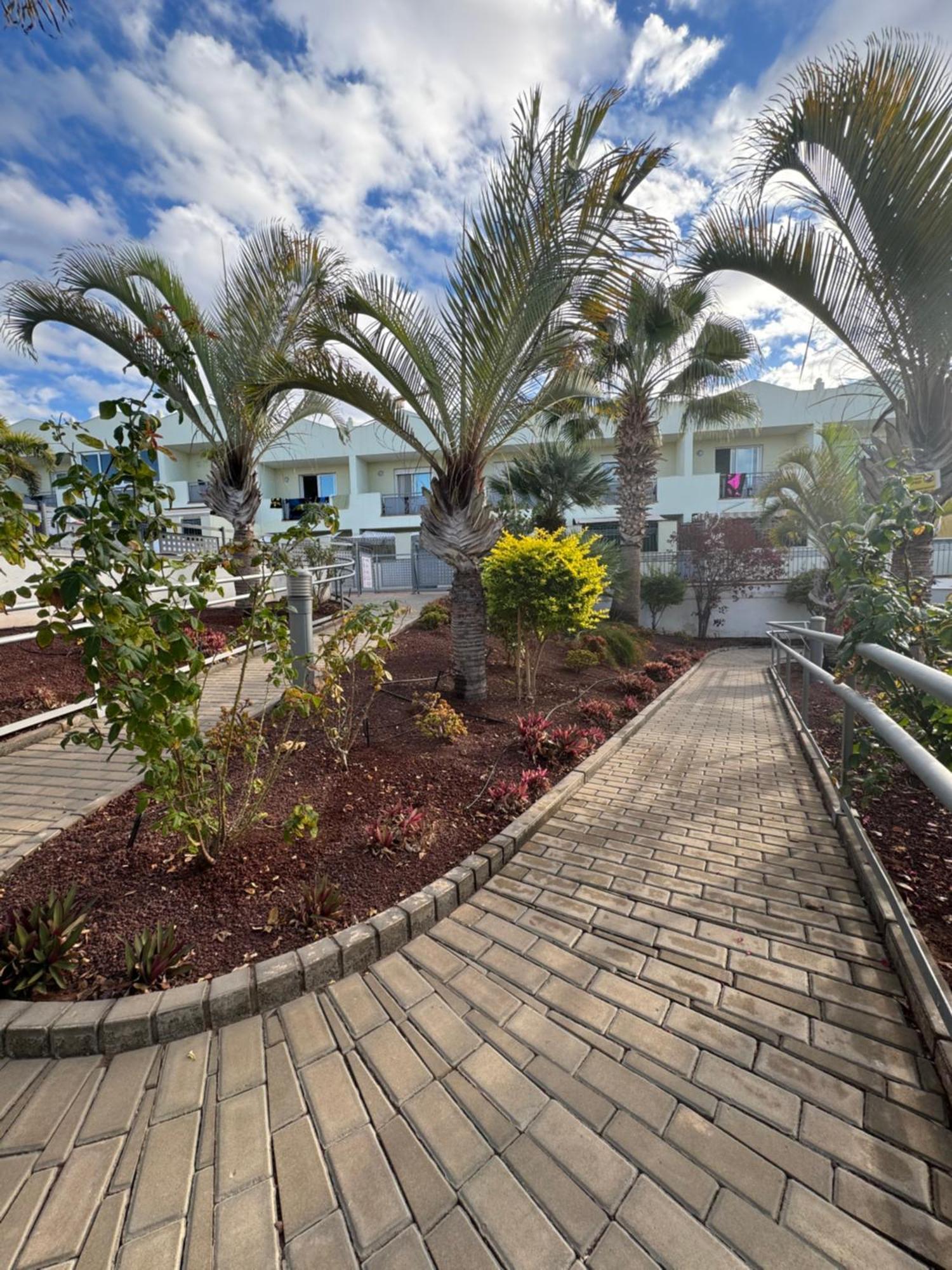 Oasis-Family Townhouse Daire Costa Adeje Dış mekan fotoğraf